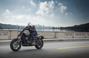 Harley-Davidson Street Rod 2017 - Bild 2